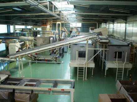 Linky na spracovanie tabaku – PMD