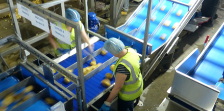 Dopravníkové pásy