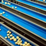 Packhouse dopravníky a výťahy – 7107