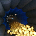 Lúpačka na koreňovú zeleninu