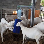 Drbadlo elektrické Toy Agricow