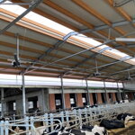 Ventilátor Elifan