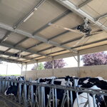 Ventilátor Elifan